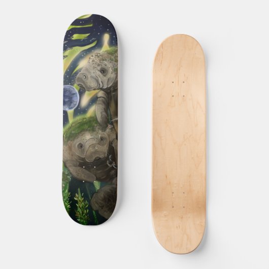 Fragile balanceerbeheer persoonlijk skateboard (Voorkant)