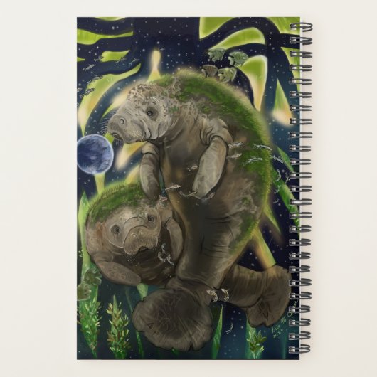 Fragile balanceerbeheer planner (Achterkant)