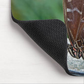 Fragile Beauty Muismat (Hoek)