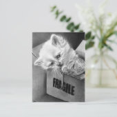 Fragile Kat box Briefkaart (Staand voorkant)