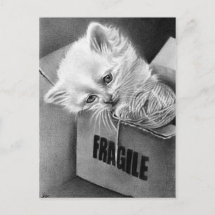 Fragile Kat box Briefkaart