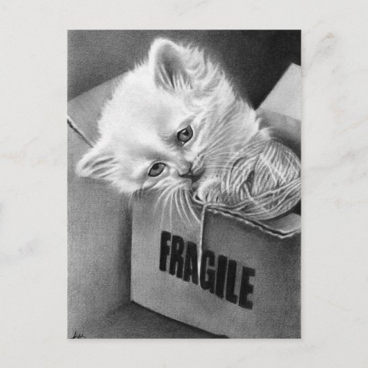 Fragile Kat box Briefkaart (Voorkant)
