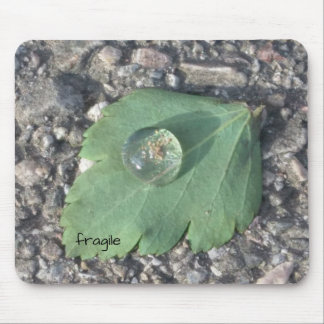 Fragile mousepad muismat