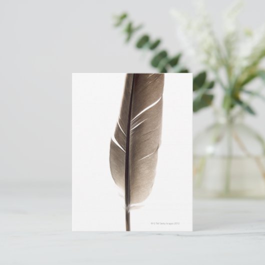 Fragile witte veer briefkaart (Staand voorkant)