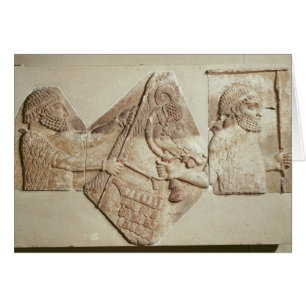 Fragment van een afbeelding van een mediaan bijriv