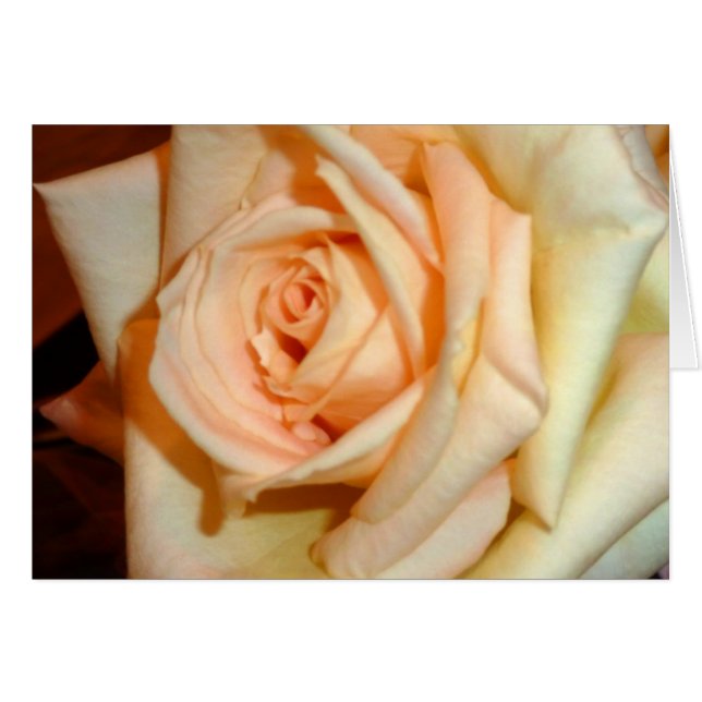 Fragrance (Voorkant Horizontaal)