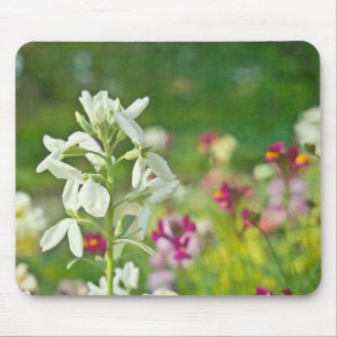 Fragrance Garden Muismat