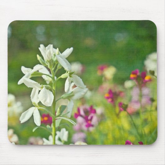 Fragrance Garden Muismat (Voorkant)