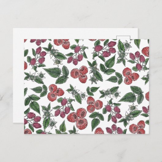  framboos bladeren illustratiepatroon briefkaart (Voorkant / Achterkant)