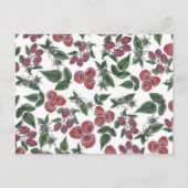  framboos bladeren illustratiepatroon briefkaart (Voorkant)