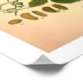 Framboos botanische print (Hoek)