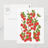 Framboos Briefkaart (Voorkant / Achterkant)