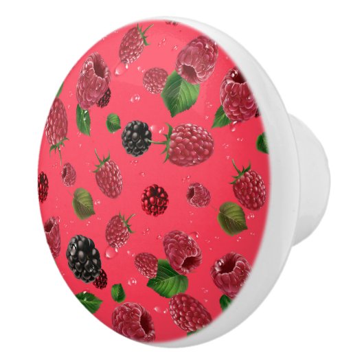 Frambospatroon Keramische Knop (Rechts)