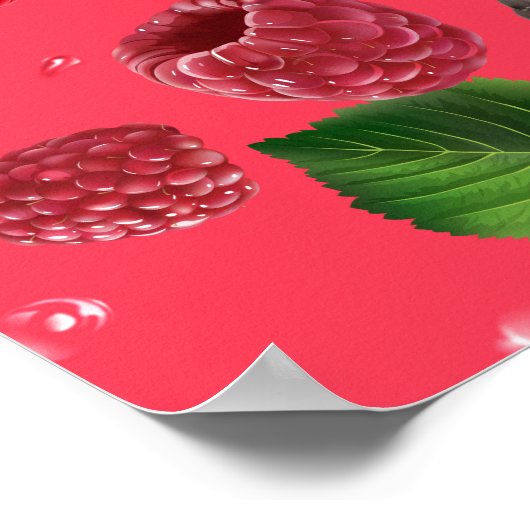 Frambospatroon Poster (Hoek)