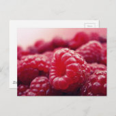 Frambozen 6 briefkaart (Voorkant / Achterkant)