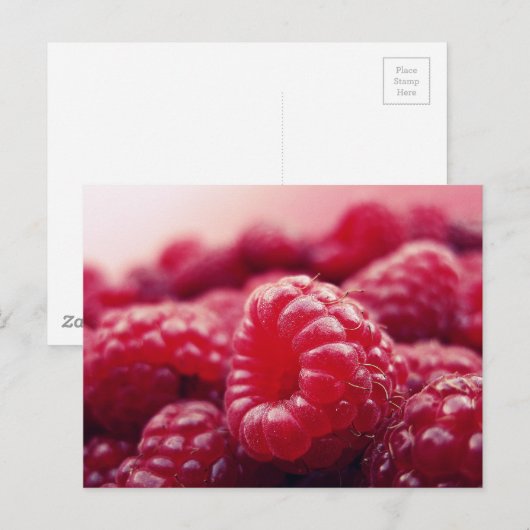 Frambozen 6 briefkaart (Voorkant / Achterkant)