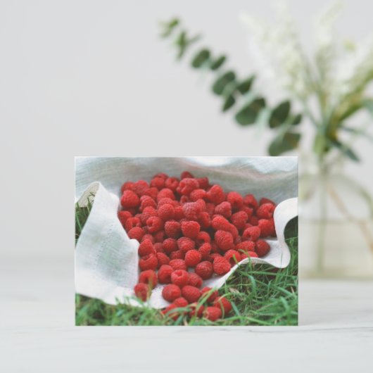 Frambozen Briefkaart (Staand voorkant)