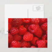 Frambozen Briefkaart (Voorkant / Achterkant)