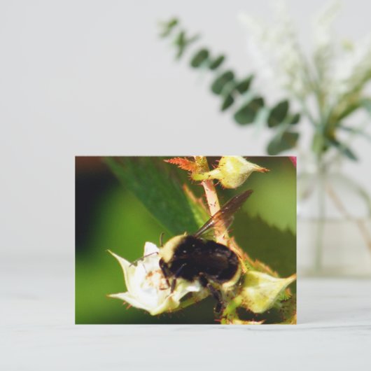 Frambozen Briefkaart (Staand voorkant)