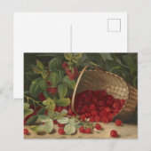 Frambozen Briefkaart (Voorkant / Achterkant)