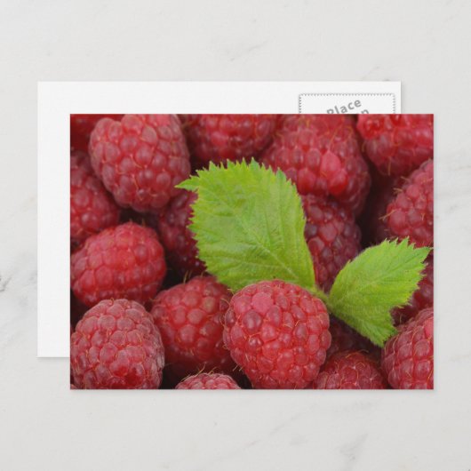 Frambozen Briefkaart (Voorkant / Achterkant)