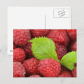 Frambozen Briefkaart (Voorkant / Achterkant)
