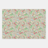 Frambozen Butterflies Currants aardbeien Tuin Inpakpapier Vel (Voorkant 3)