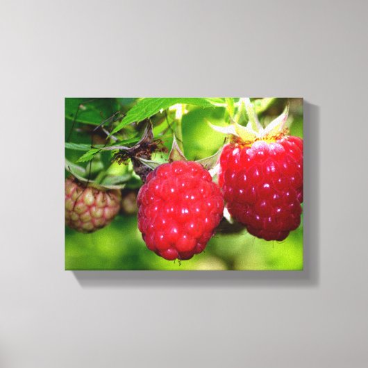 Frambozen Canvas Afdruk (Voorkant)