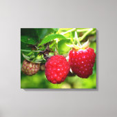 Frambozen Canvas Afdruk (Voorkant)