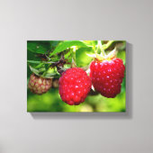 Frambozen Canvas Afdruk (Voorkant)