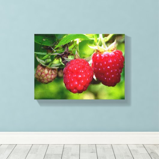 Frambozen Canvas Afdruk (Insitu (Houten vloer))