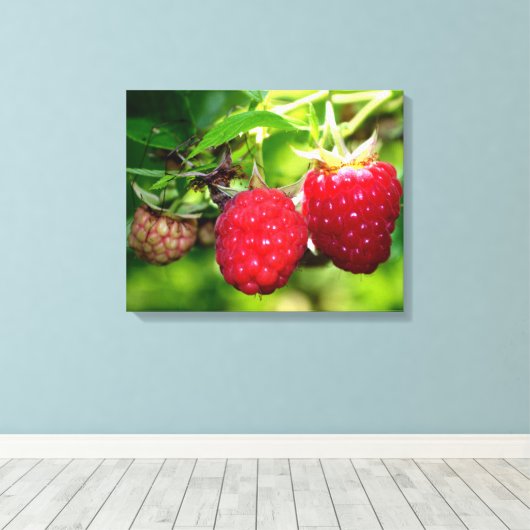 Frambozen Canvas Afdruk (Insitu (Houten vloer))
