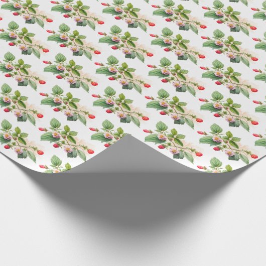 Frambozen en bloesems op wit cadeaupapier (Hoek)