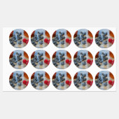 Frambozen en bosbessen labels (Vel)