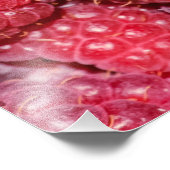 Frambozen Foto Afdruk (Hoek)