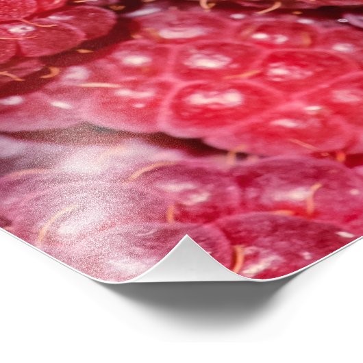 Frambozen Foto Afdruk (Hoek)