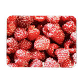 "Frambozen fruit" koetfoto. Bestel nu Magneet (Horizontaal)