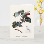 Frambozen Kaart (Gele Bloem)