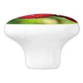 Frambozen Keramische Knop (Zijkant)