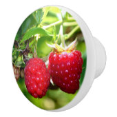 Frambozen Keramische Knop (Rechts)