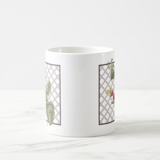 FRAMBOZEN KOFFIEMOK (Center)