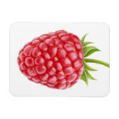 Frambozen Magneet (Horizontaal)