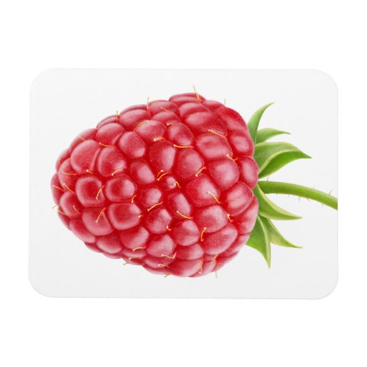 Frambozen Magneet (Horizontaal)
