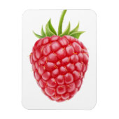 Frambozen Magneet (Verticaal)