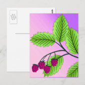Frambozen op een bijkantoor briefkaart (Voorkant / Achterkant)