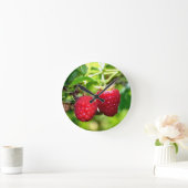 Frambozen Ronde Klok (Huis)