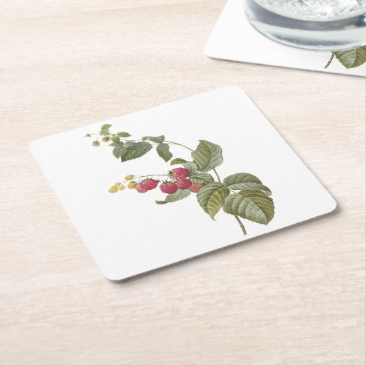 frambozen (Rubus sp.) van Redouté Kartonnen Onderzetters (Schuin)