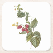 frambozen (Rubus sp.) van Redouté Kartonnen Onderzetters (Voorkant)