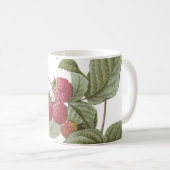 frambozen (Rubus sp.) van Redouté Koffiemok (Voorkant rechts)