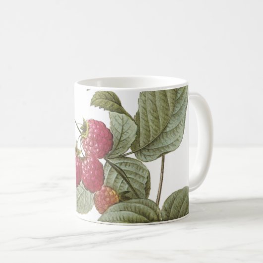 frambozen (Rubus sp.) van Redouté Koffiemok (Voorkant rechts)